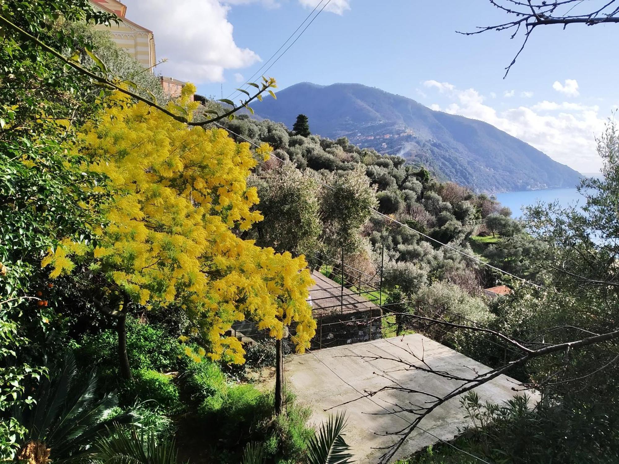San Prospero Camogli